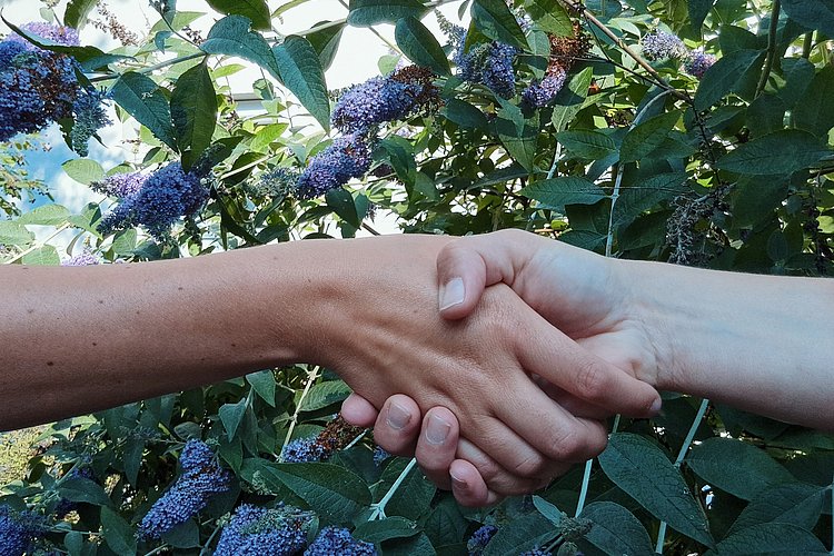 Zwei Hände die sich halten