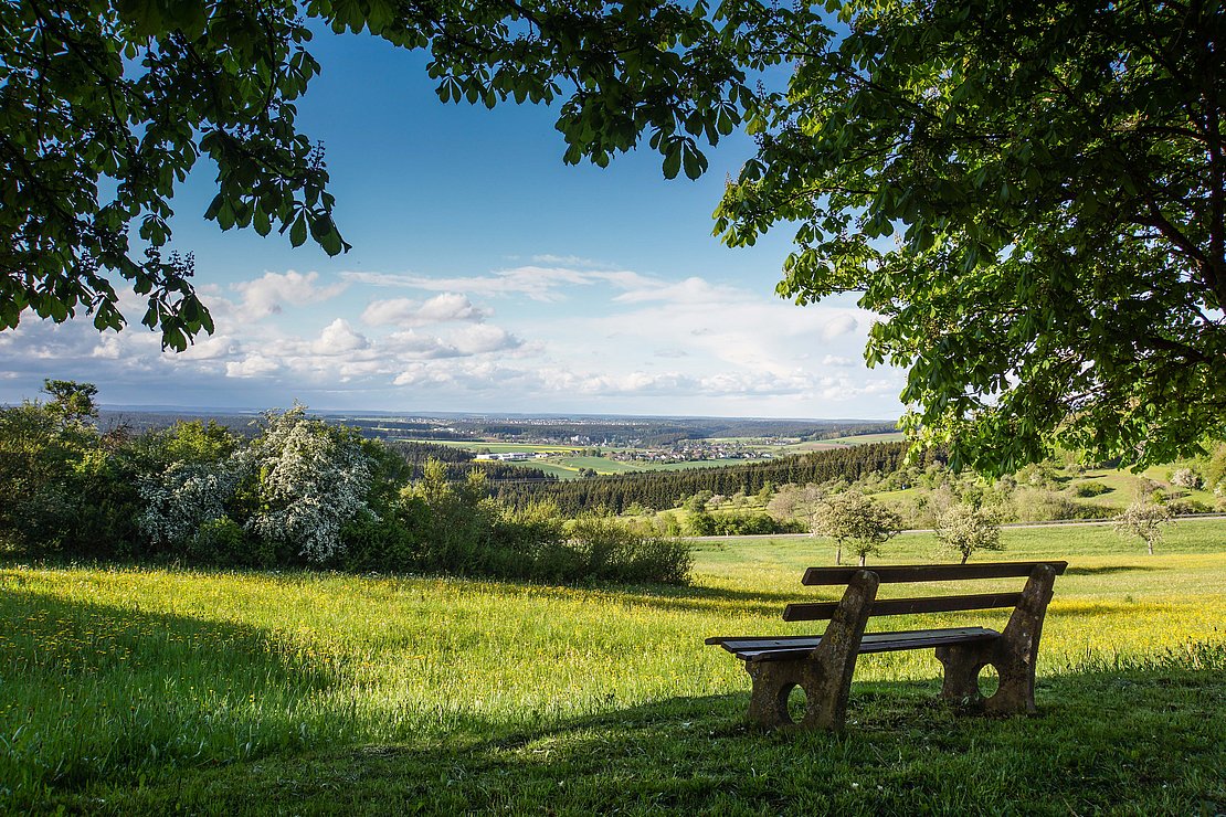 CR_Rainer_Sturm_ww.pixelio.de/media/692637 Eine leere Holzbank steht auf einer Wiese mit Ausblick in die blühende Landschaft