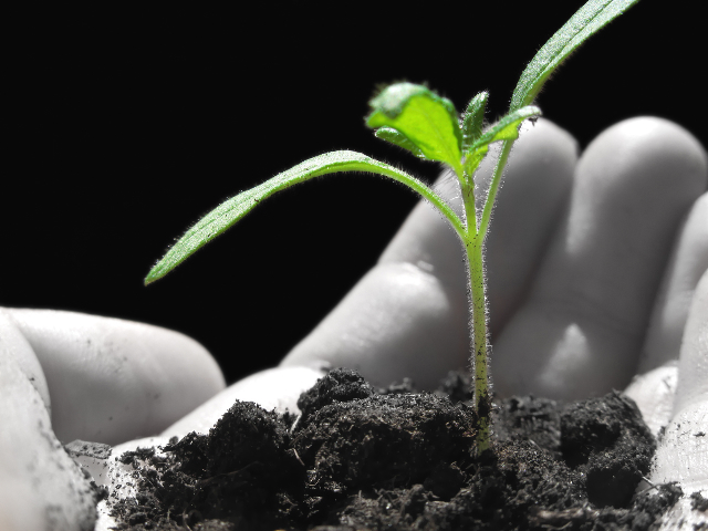 CR_Fotolia_7661115_M CR_Fotolia_7661115_M